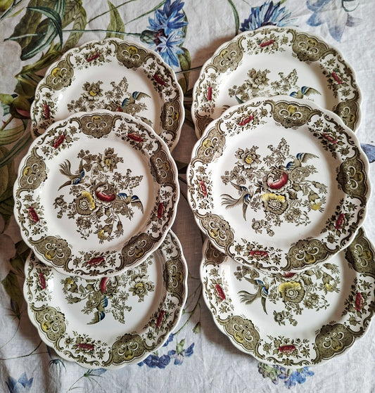 Lot de 6 assiettes plate