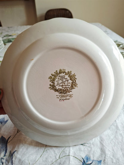 Lot de 6 assiettes plate
