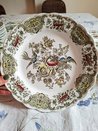 Lot de 6 assiettes plate