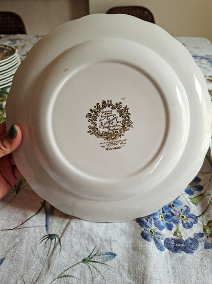 Lot de 6 assiettes plate