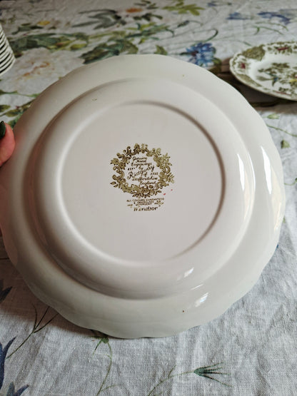 Lot de 6 assiettes plate
