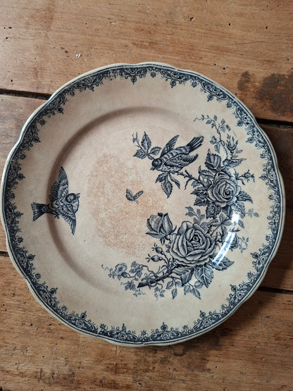 Assiette plate décor oiseaux