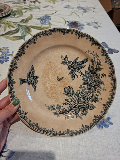 Assiette plate décor oiseaux
