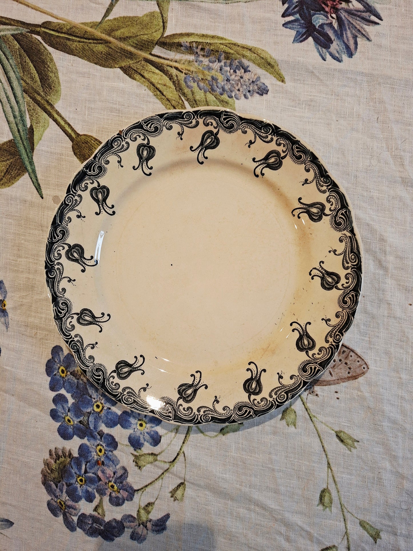 Assiette plate Luna Manufacture Royale 1789