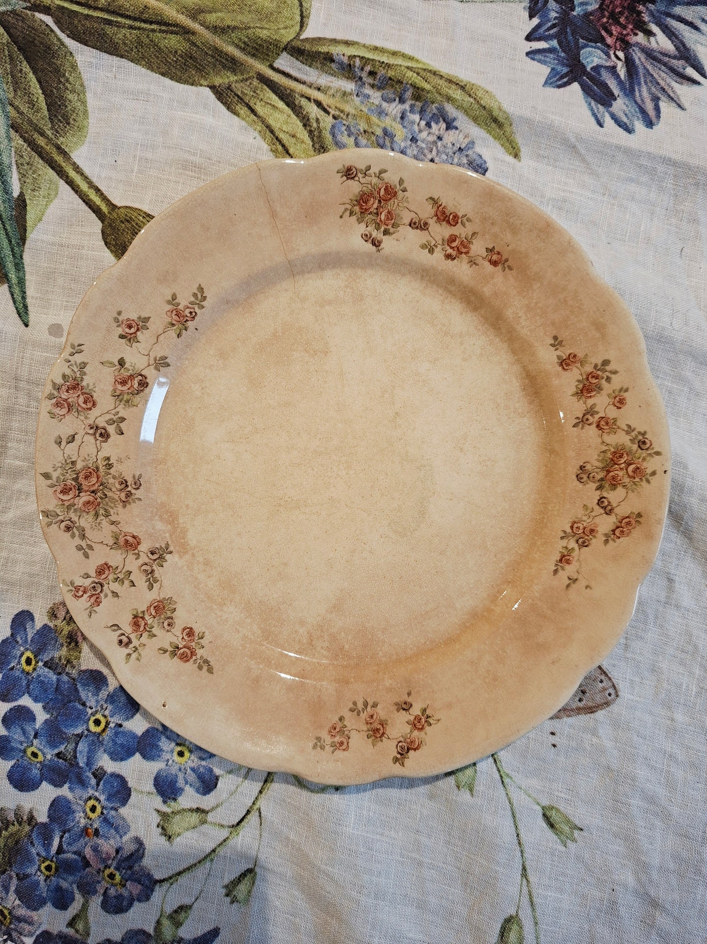 Assiette plate Manufacture Impériale Royale