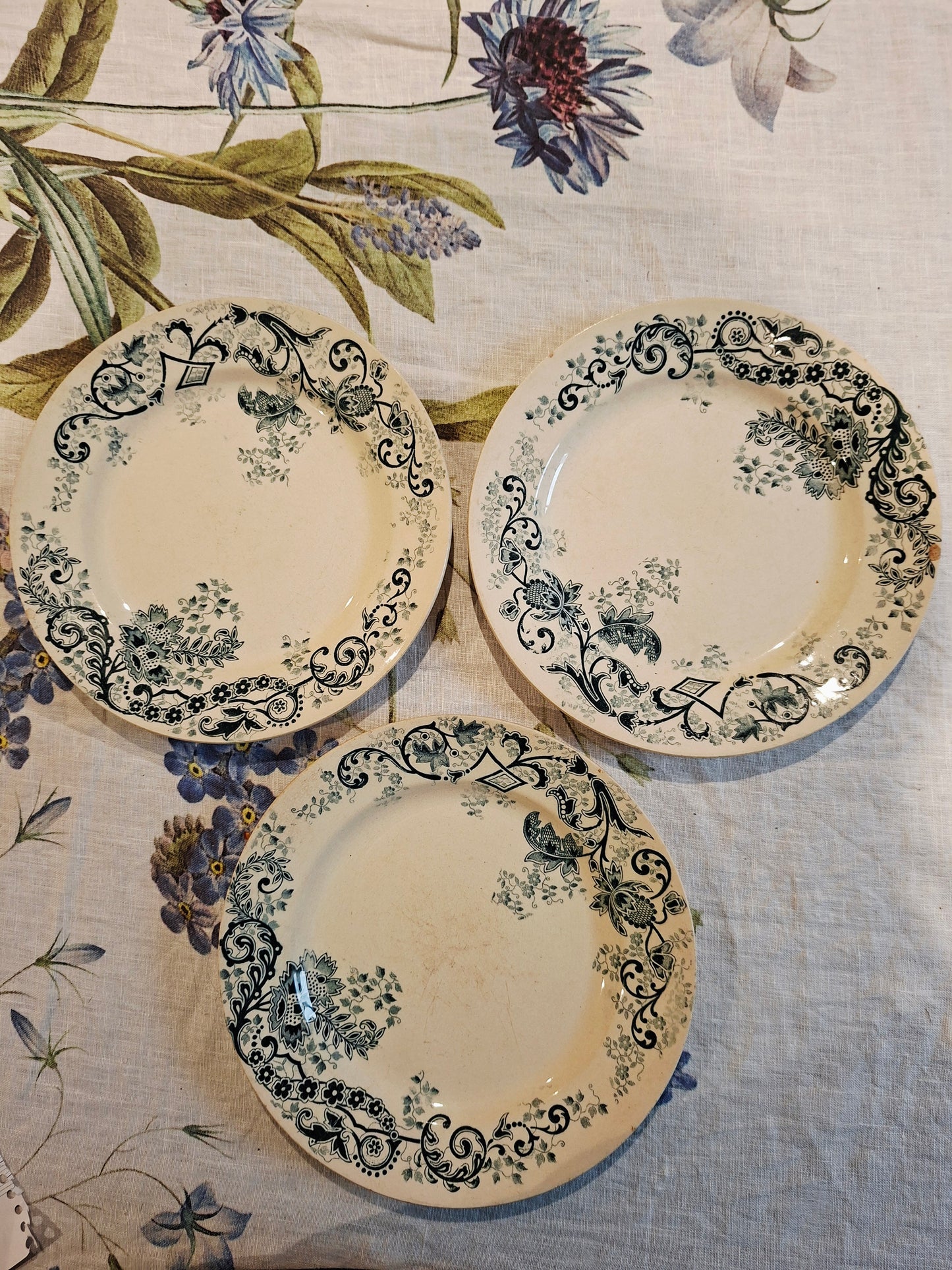 Lot de 3 assiettes plates