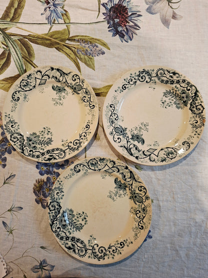 Lot de 3 assiettes plates