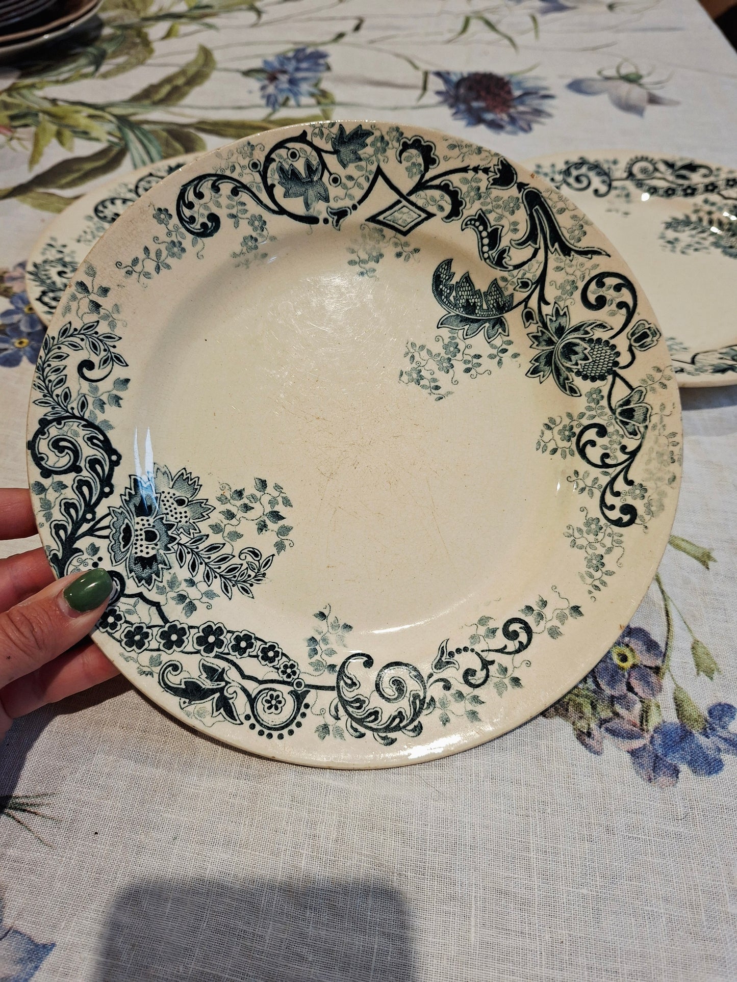 Lot de 3 assiettes plates