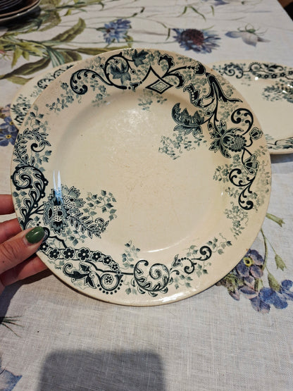 Lot de 3 assiettes plates