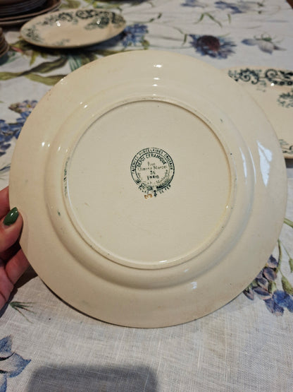 Lot de 3 assiettes plates