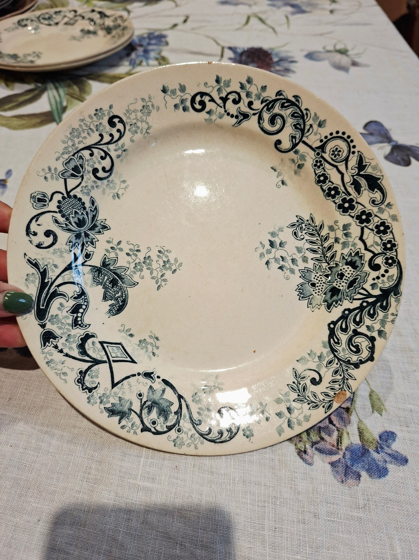 Lot de 3 assiettes plates