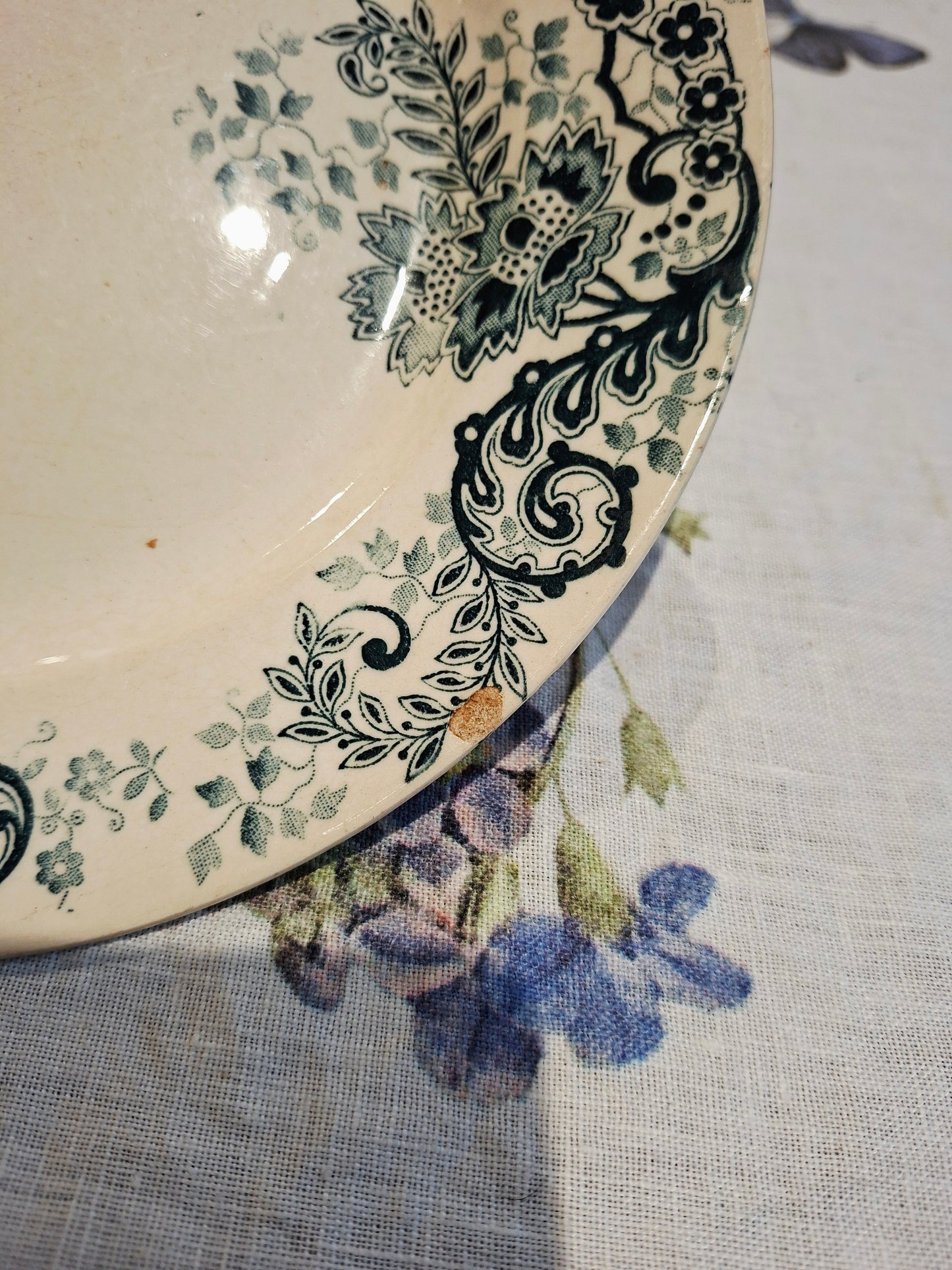 Lot de 3 assiettes plates