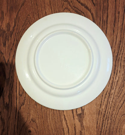 Juego de 6 platos planos