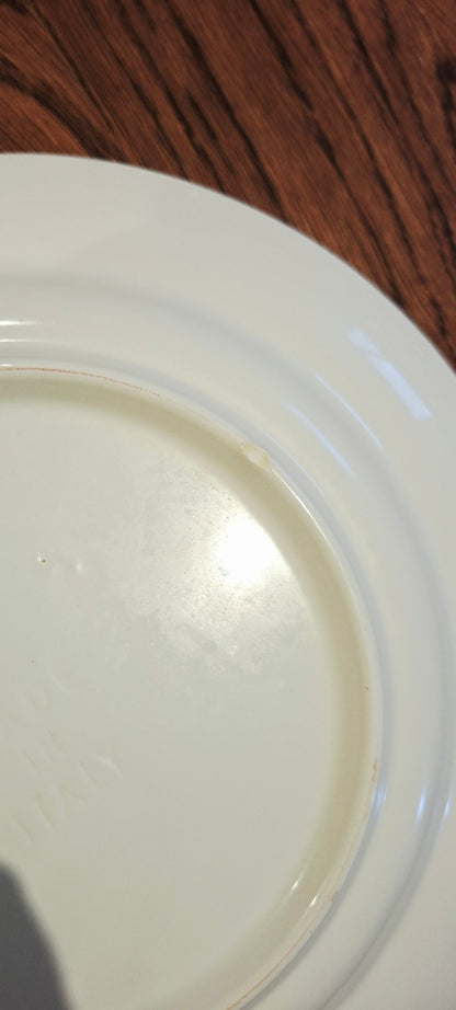 Juego de 6 platos planos