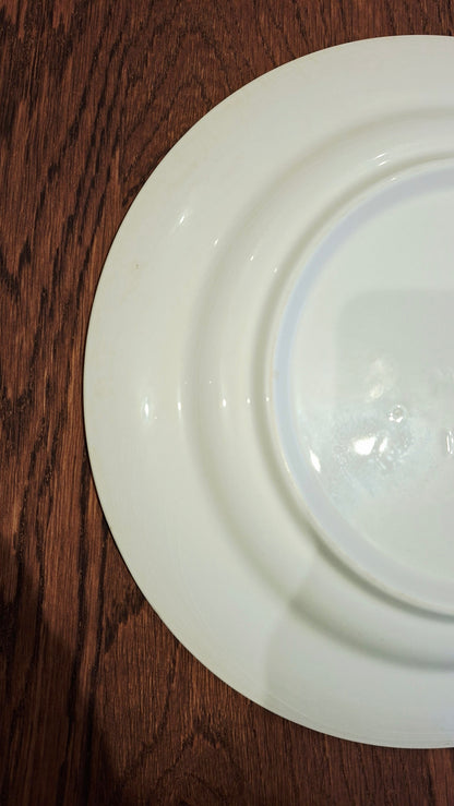 Juego de 6 platos planos