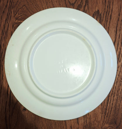 Juego de 6 platos planos