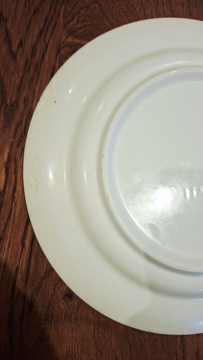 Juego de 6 platos planos