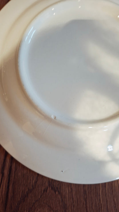 Juego de 4 platos de postre