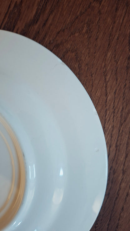 Juego de 6 platos de postre