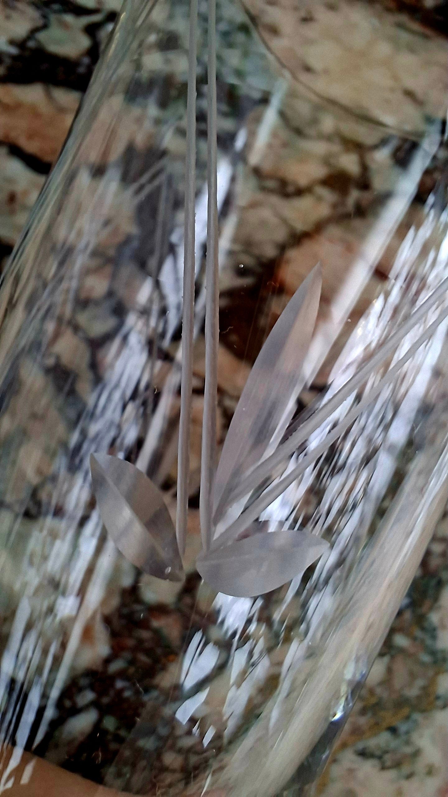 Lot de 6 flûtes en cristal