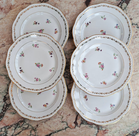 Lot de 6 assiettes à dessert