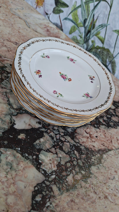 Lot de 6 assiettes à dessert