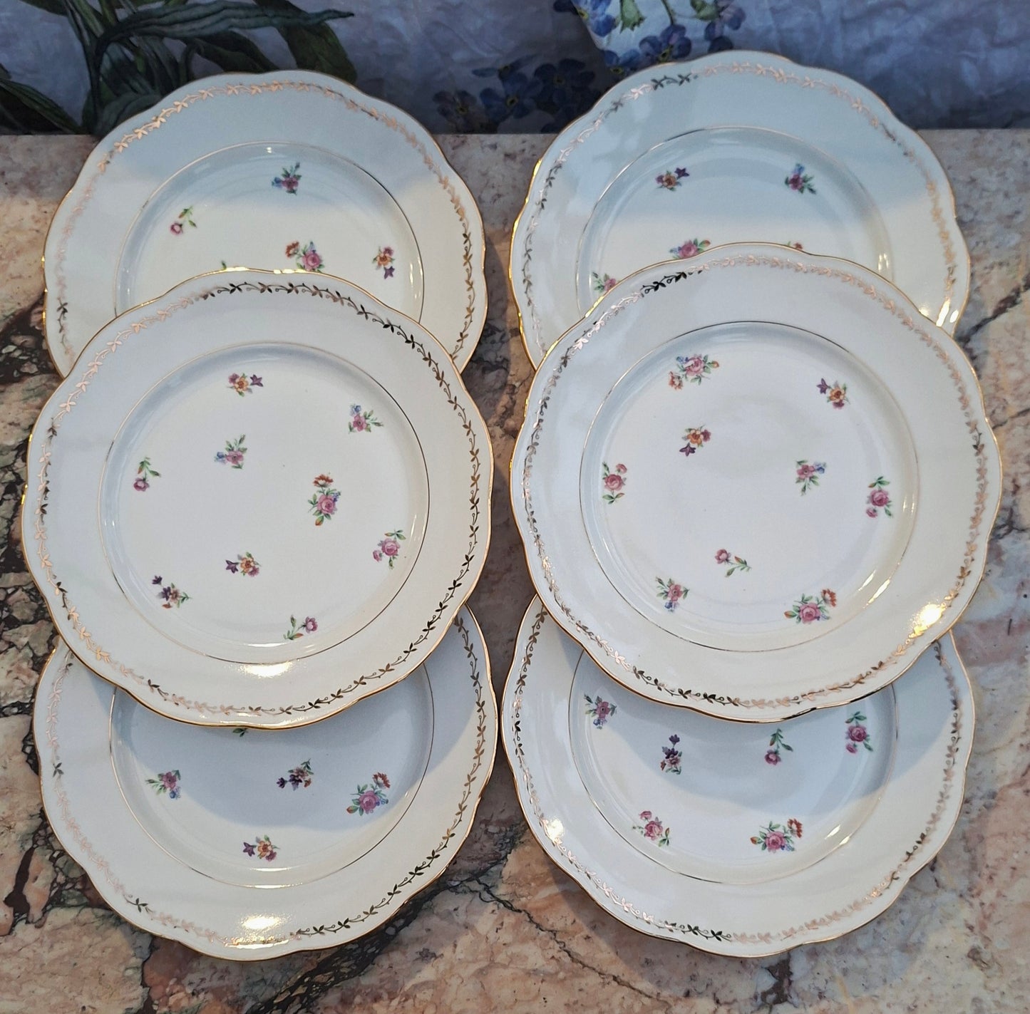 Lot de 6 assiettes plates