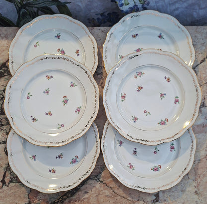 Lot de 6 assiettes plates