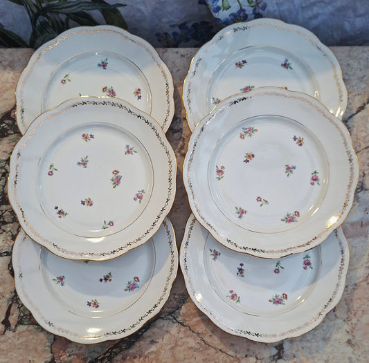 Lot de 6 assiettes plates