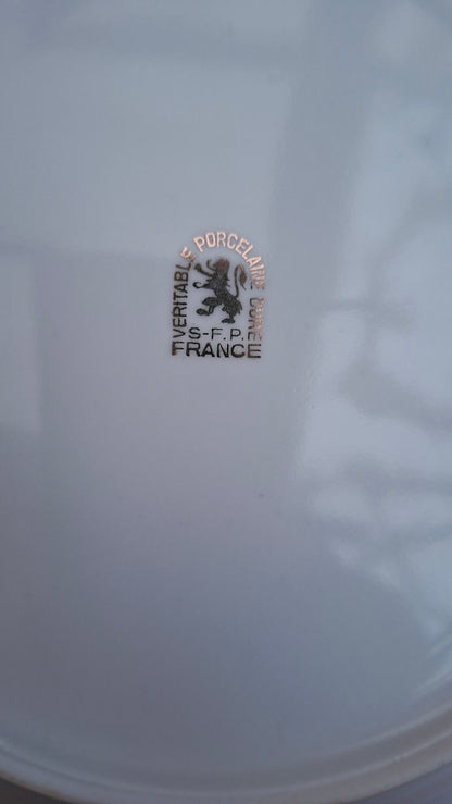 Lot de 6 assiettes plates