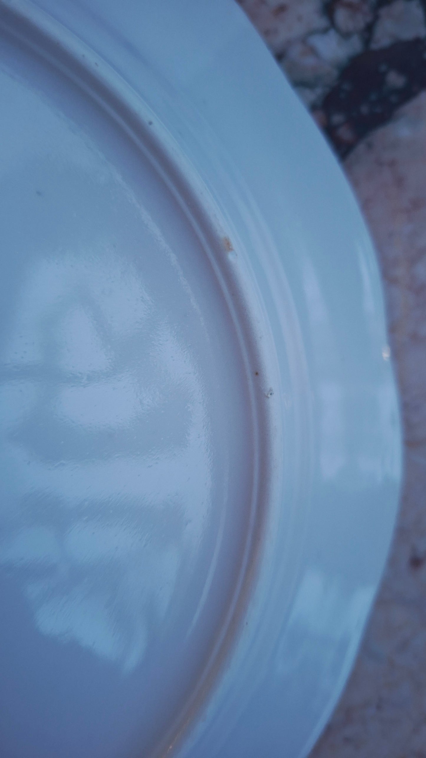 Lot de 6 assiettes plates