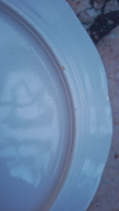 Lot de 6 assiettes plates