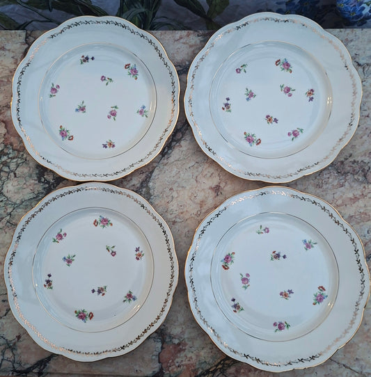 Ensemble de 4 assiettes plates