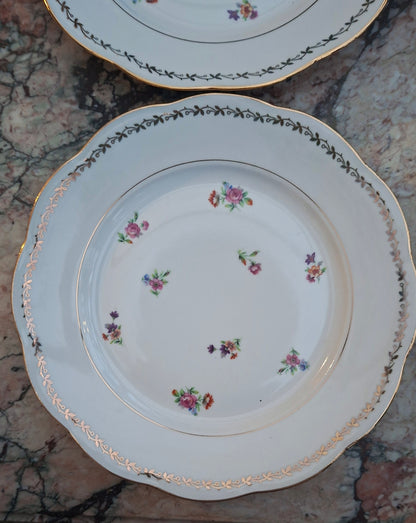 Ensemble de 4 assiettes plates