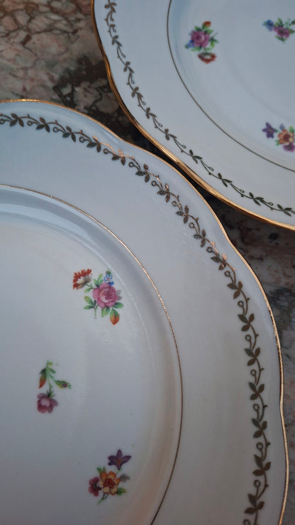 Ensemble de 4 assiettes plates
