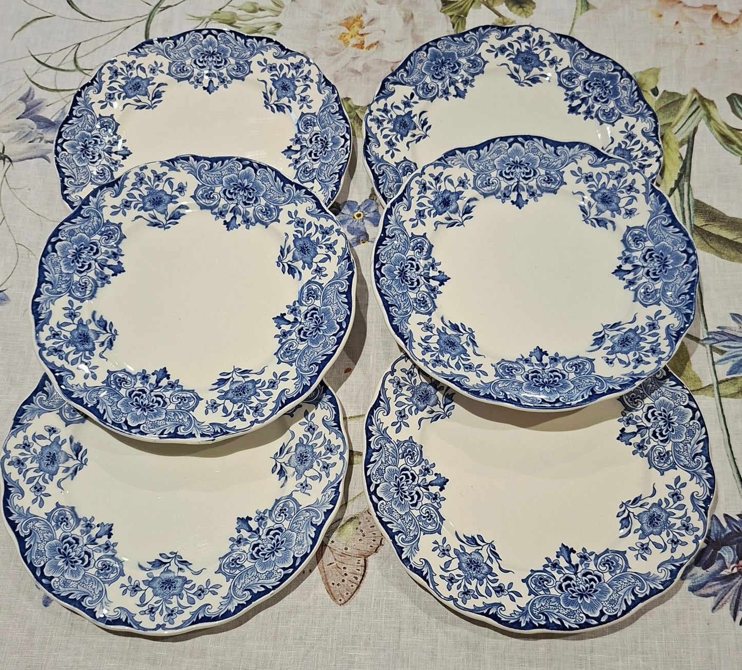 6 assiettes plates