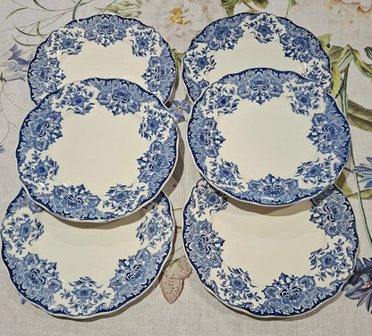 6 assiettes plates