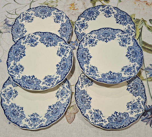 6 assiettes plates