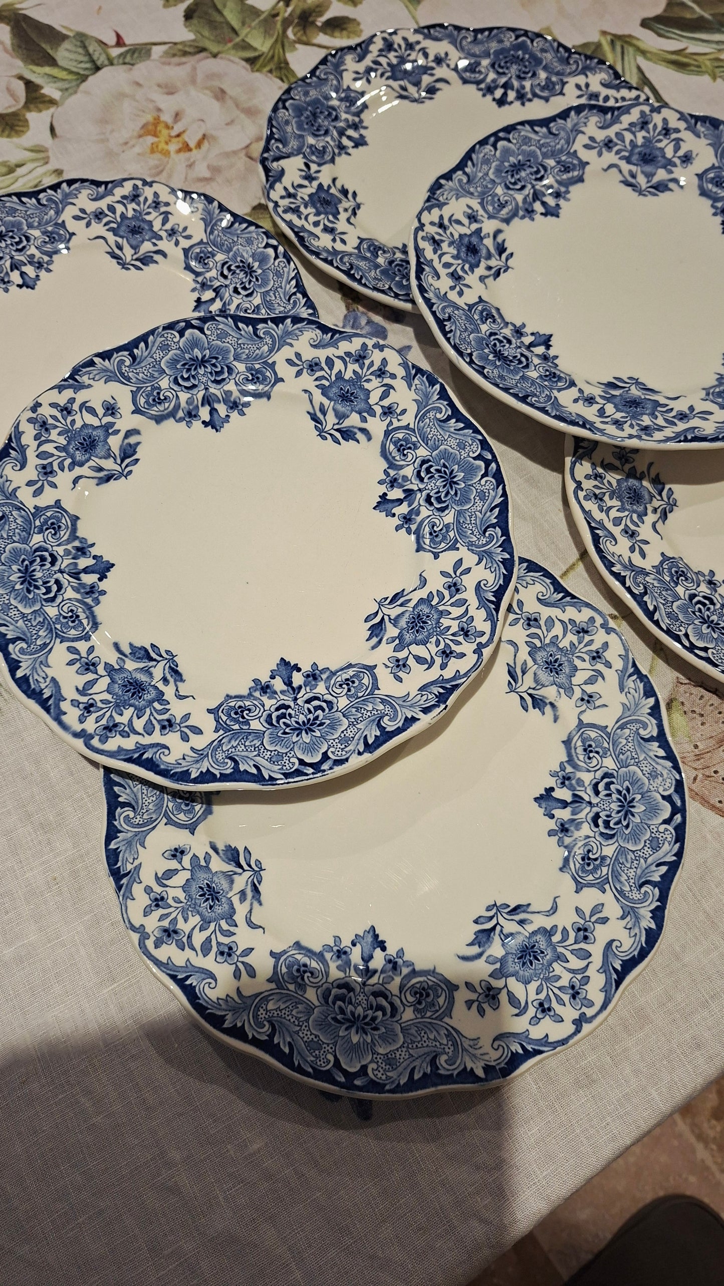 6 assiettes plates