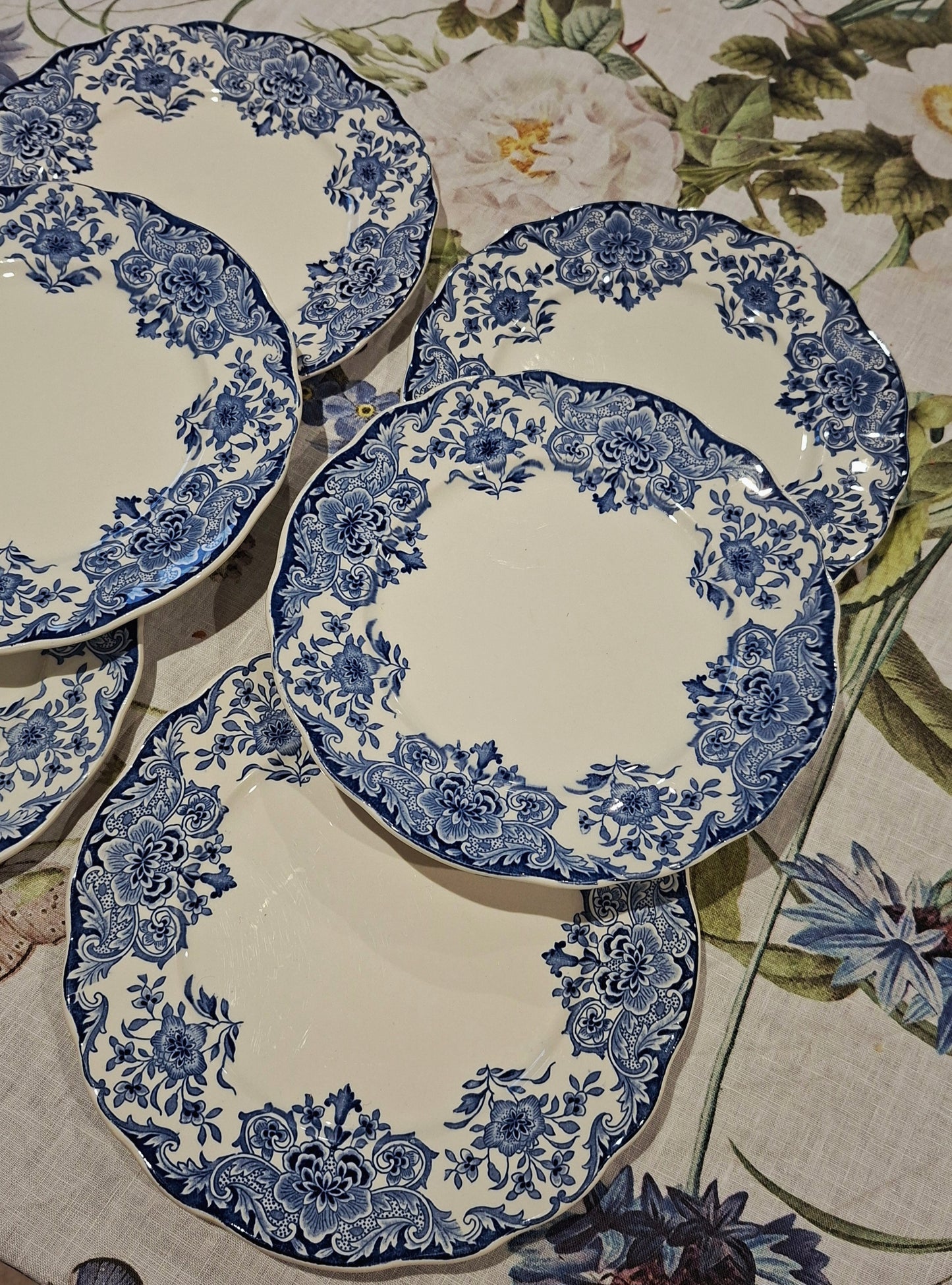 6 assiettes plates