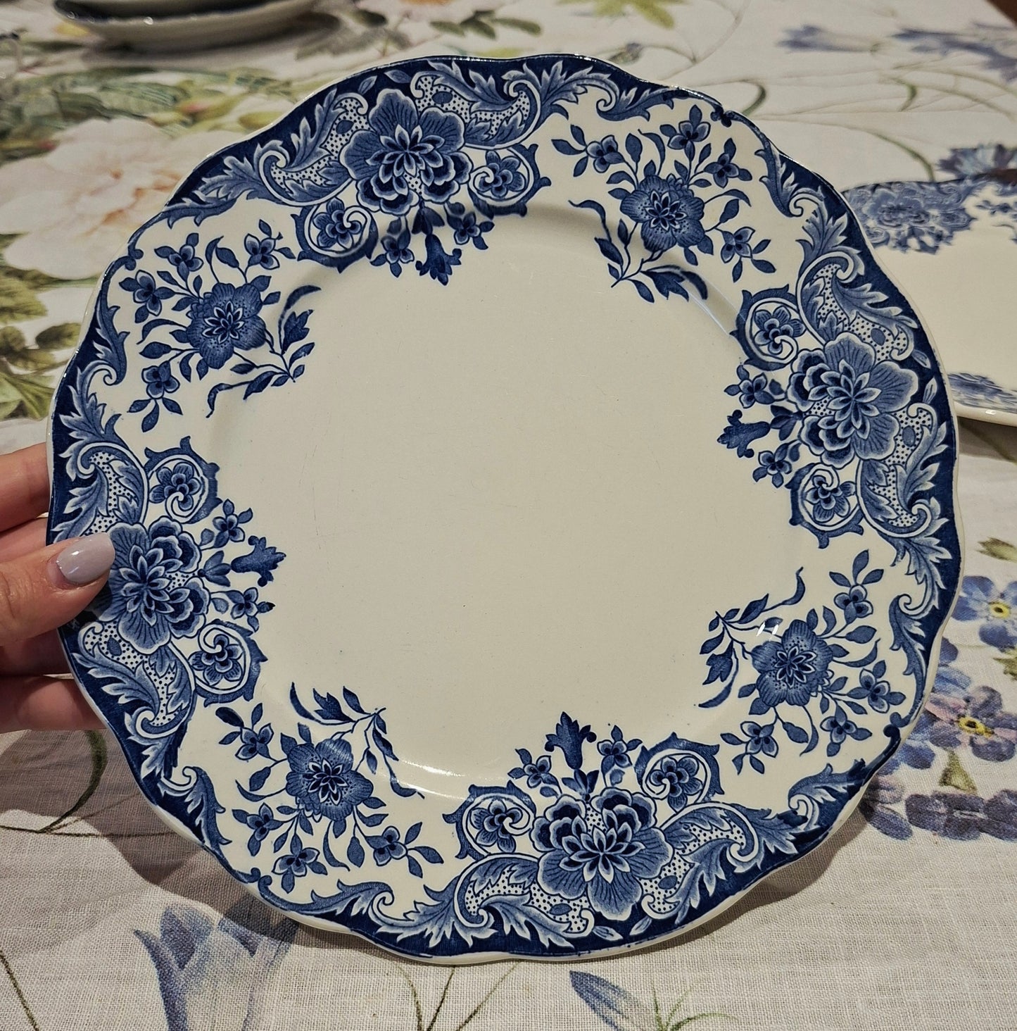 6 assiettes plates