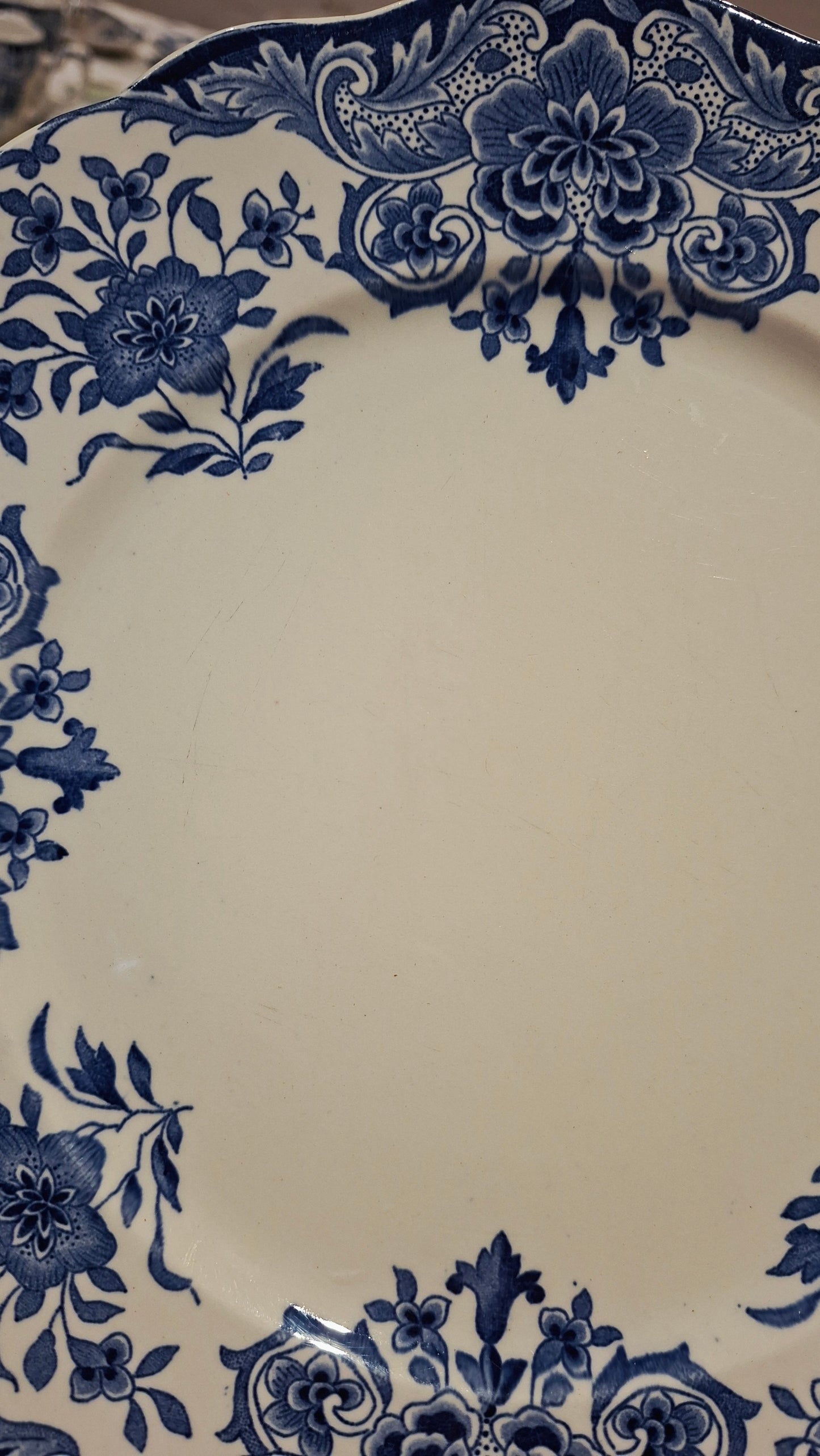 6 assiettes plates