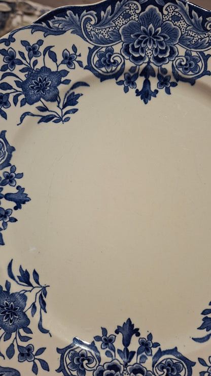 6 assiettes plates