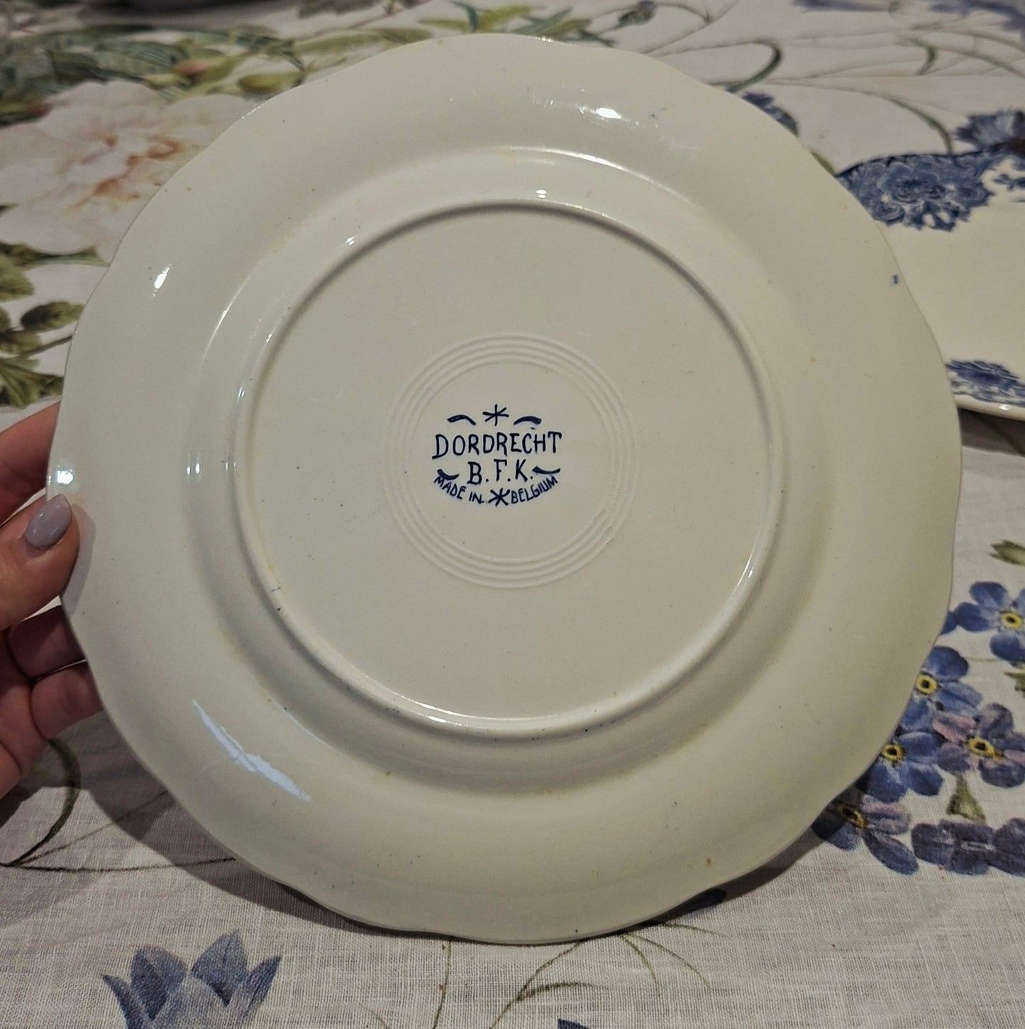 6 assiettes plates