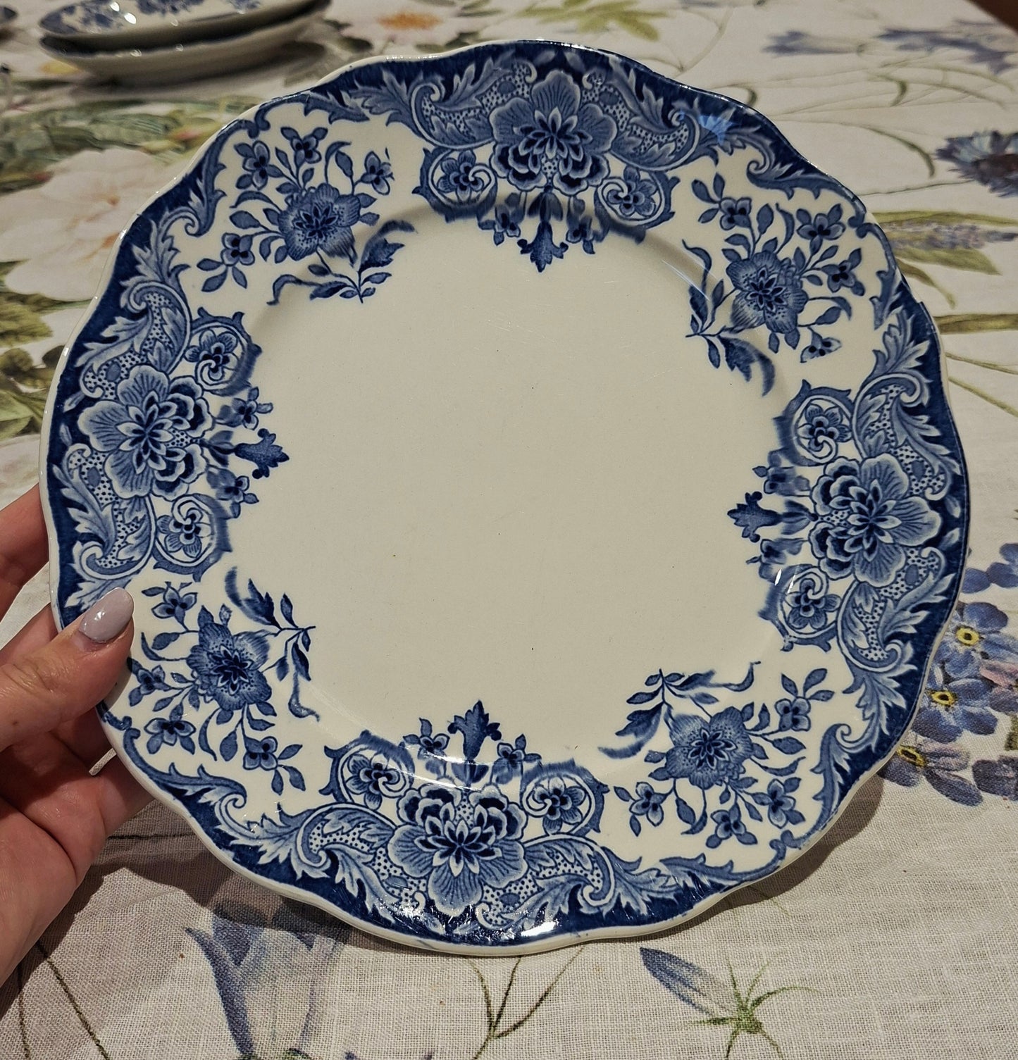 6 assiettes plates