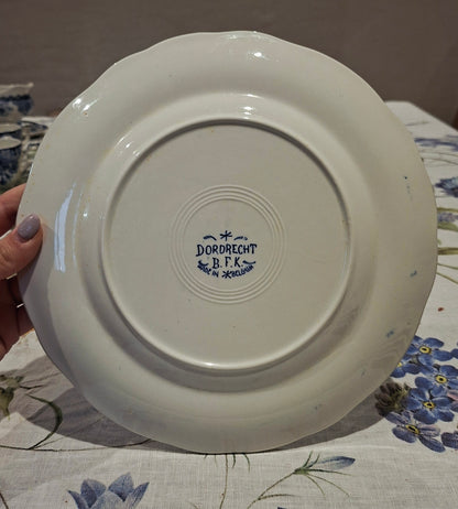 6 assiettes plates