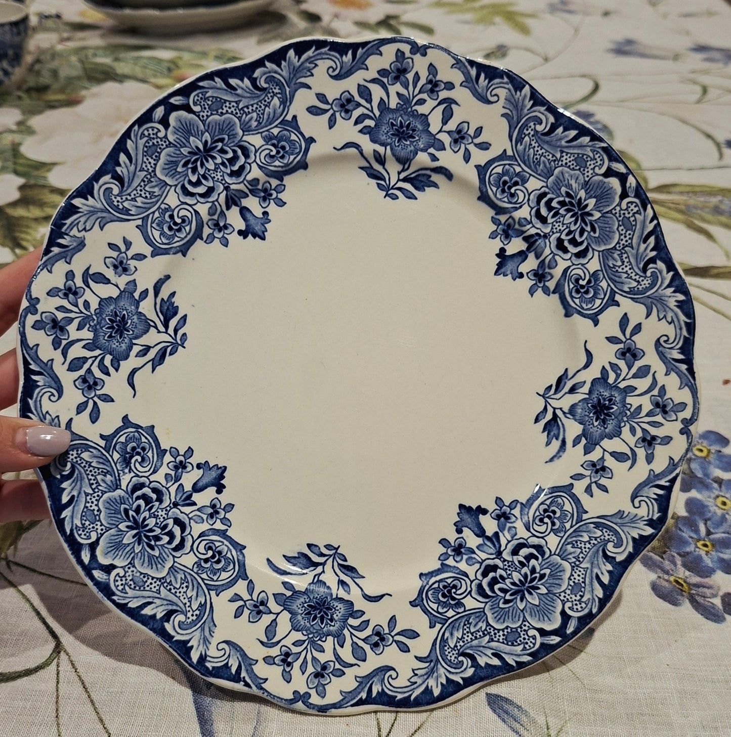 6 assiettes plates