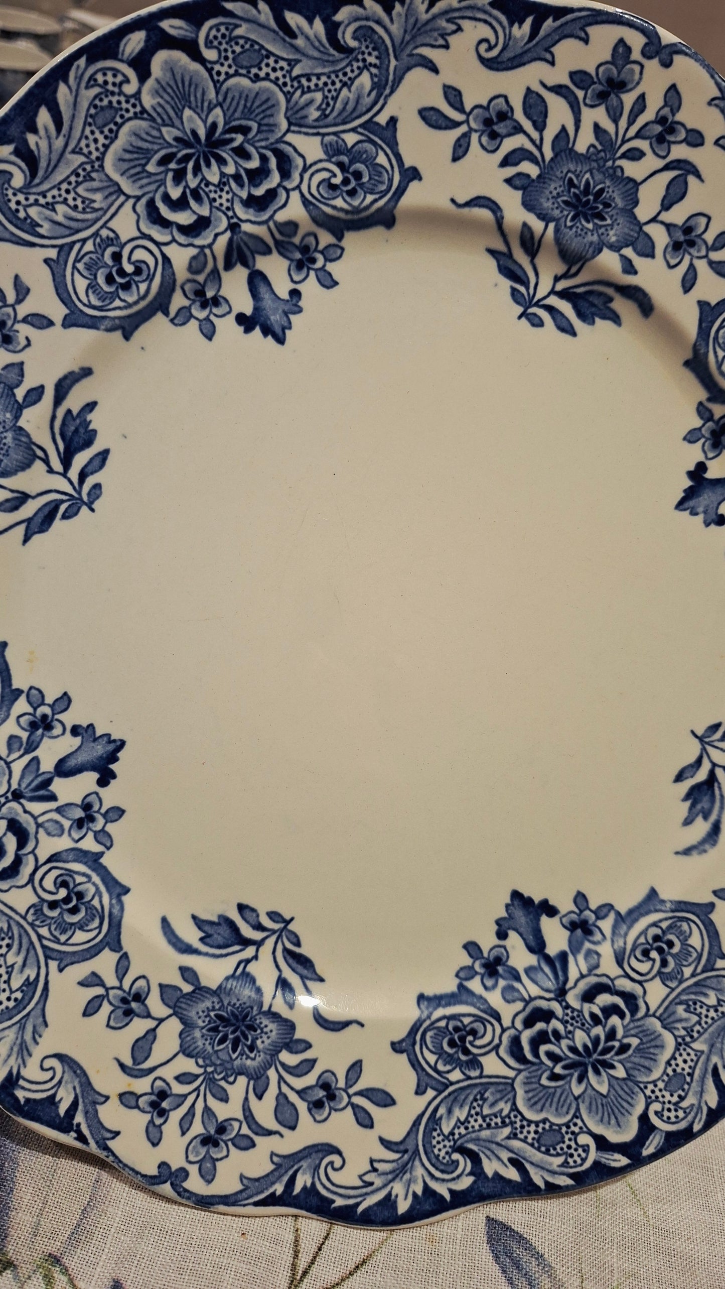 6 assiettes plates