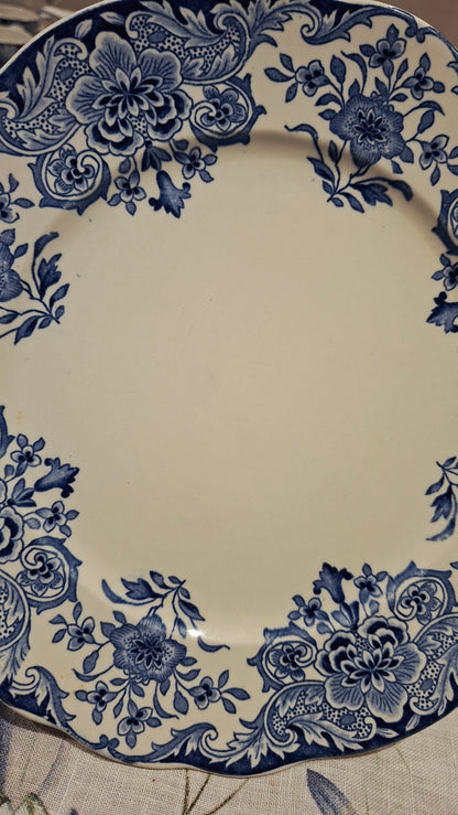 6 assiettes plates