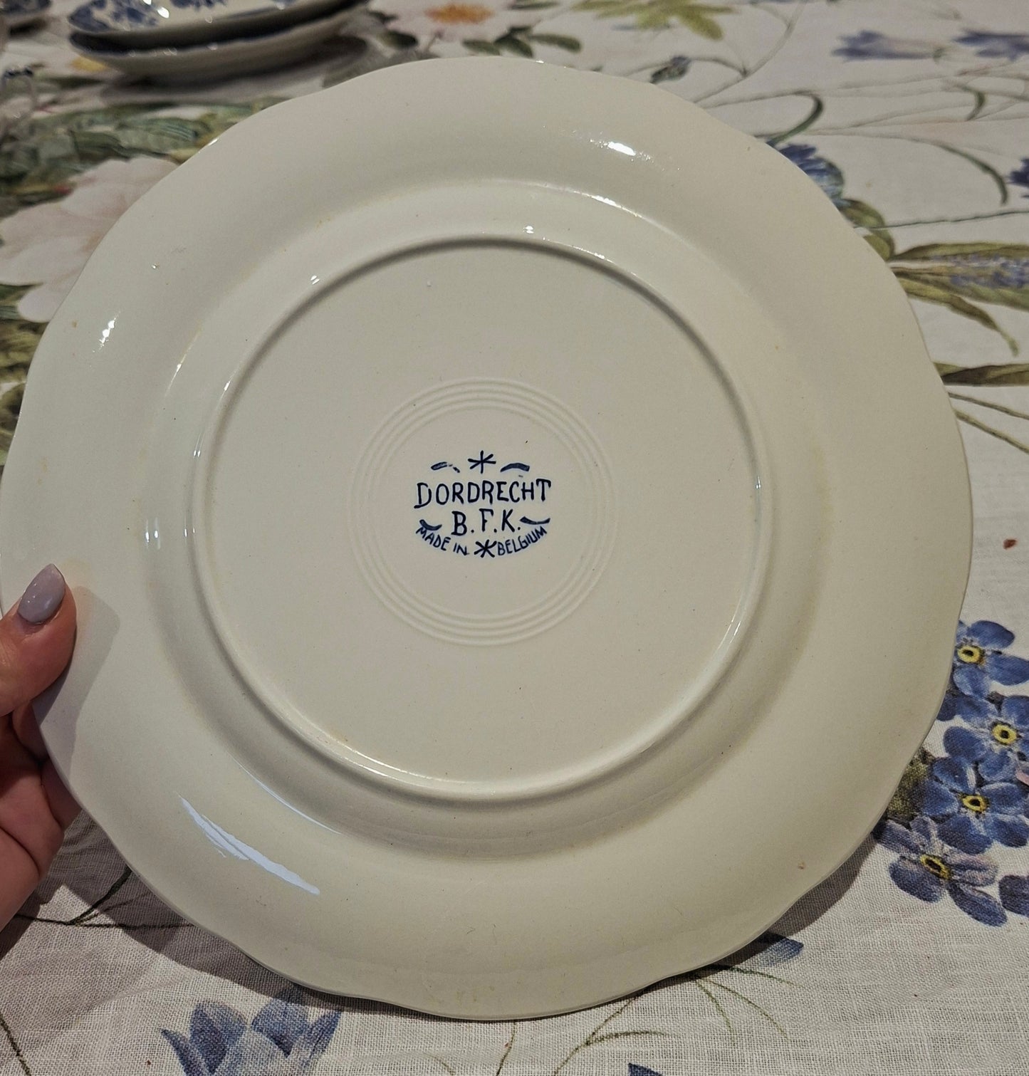 6 assiettes plates